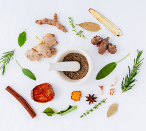 釋放植物力量，實現植物功能成分風味優化及多維度功能覆蓋